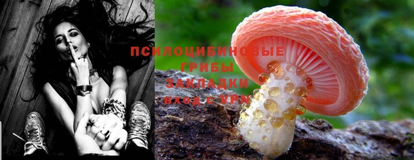 герыч Алексин