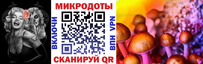 блэк спрут ссылка  где продают наркотики  сайты даркнета какой сайт  Галлюциногенные грибы Psilocybe  Каменск-Уральский 